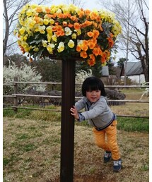 ビビッと★花 | その他