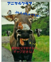 アニマルクラブ | 福袋/福箱