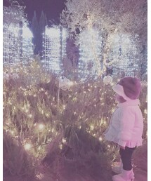 イルミネーション | その他