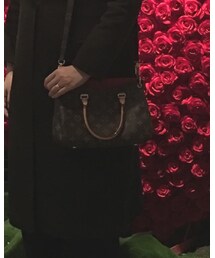 LOUIS VUITTON | バッグ