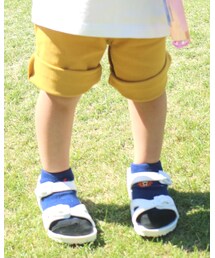 Birthday | ソックス/靴下