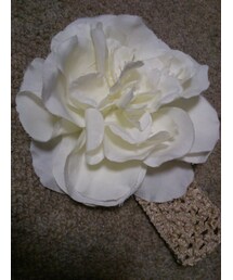 ヘアバンド(ヘアバンド)