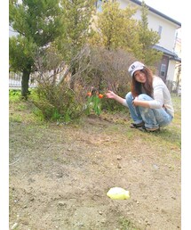 チューリップ(その他)