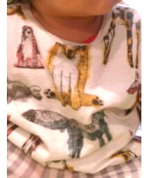 ZARA | Tシャツ/カットソー