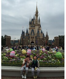 シンデレラ城 | その他