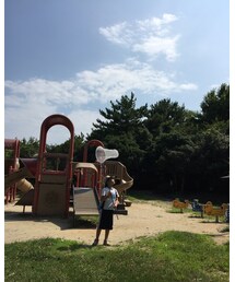 公園で虫とり | その他