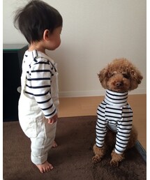 愛犬、包帯してるみたい(笑) | その他