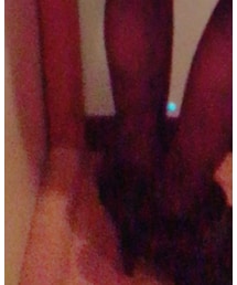 Honeys | シューズ