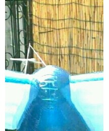 しまちゅう | その他