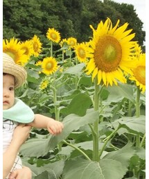 西松屋 | ハット