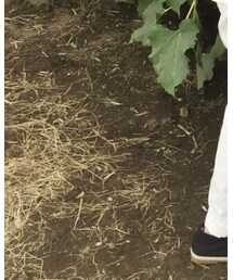 GU | サロペット/オーバーオール