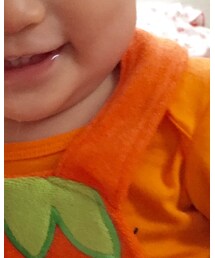 Carter's | スタイ/よだれかけ