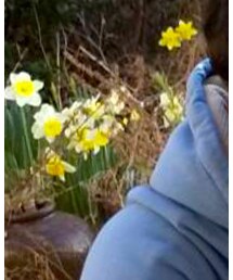 KUBORAUM | メガネ