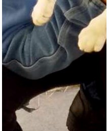 にゃん太郎 | その他