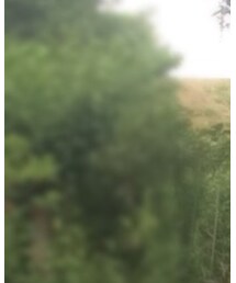 おじいちゃんの庭 | その他