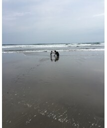 高知!海! | その他