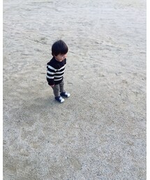 ペコリをマスター！ | その他