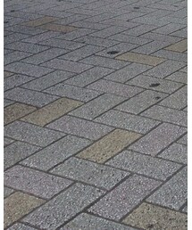 渋谷 | トップス