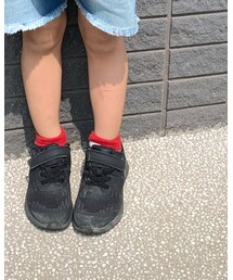 靴下屋 | ソックス/靴下