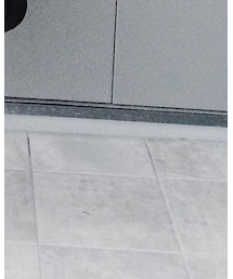 Repetto | バレエシューズ