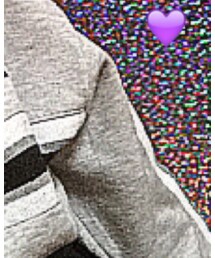 TOMMY HILFIGER | スウェット