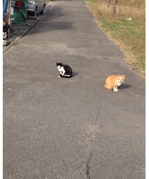 📸iPhoneに変えて初めて撮った写真📸 | その他