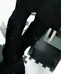 UNIQLO | デニムパンツ