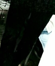 UNIQLO | デニムパンツ