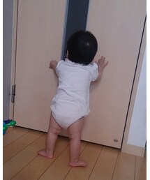 おとうさーん！ | その他