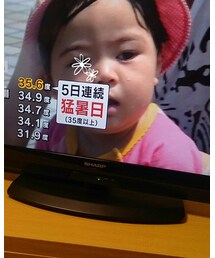 テレビデビュー | その他