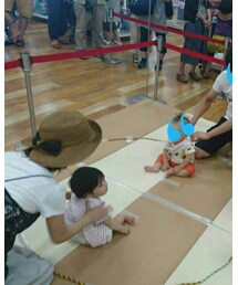 赤ちゃんすもう | その他