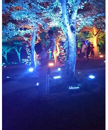 チームラボ　呼応する森 | その他