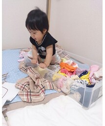 マイブーム　箱に入る | その他