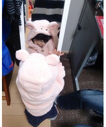 🐰 | ポンチョ