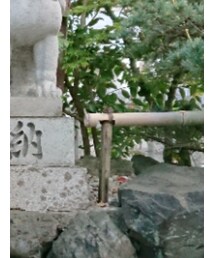 無印良品 | デニムジャケット