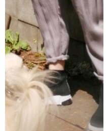 chuclla | スニーカー