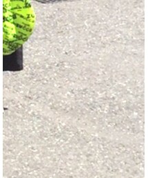 ZUCCa | トートバッグ