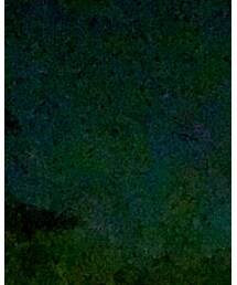 Bershka | その他パンツ