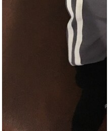 Birthday | ソックス/靴下