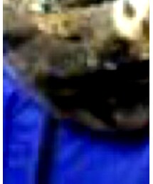 ankorock | ネックウォーマー/スヌード