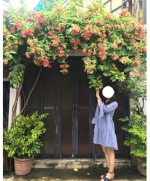 ZARA | ワンピース