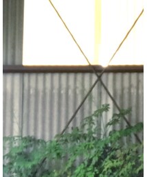 STUDIOUS | Tシャツ/カットソー