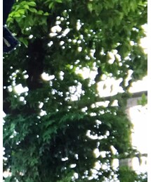 Lee | デニムジャケット