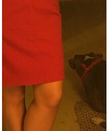 TOMMY HILFIGER | スカート