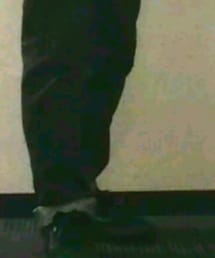 VANS | oldschool leader(スニーカー)