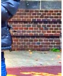 GU | デニムパンツ