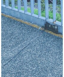 Keds | シューズ