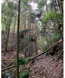 highking | その他