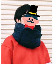 CYDERHOUSE | ストール/ショール