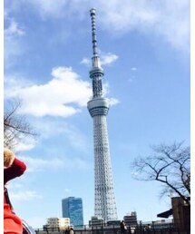 スカイツリー | その他